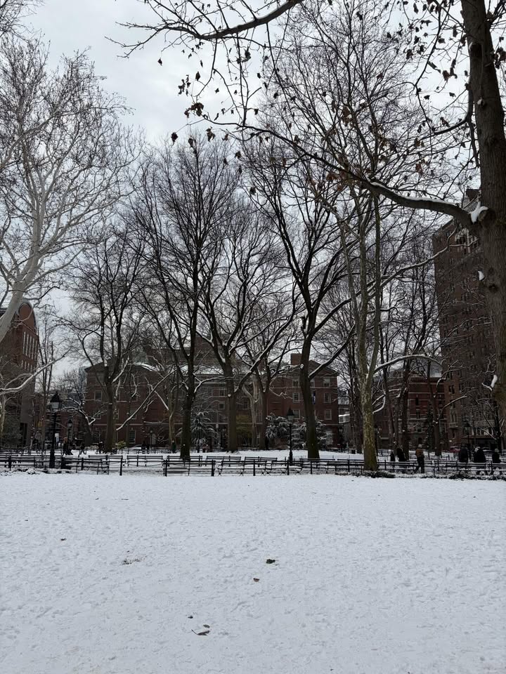 May be an image of tree, park, snow and text