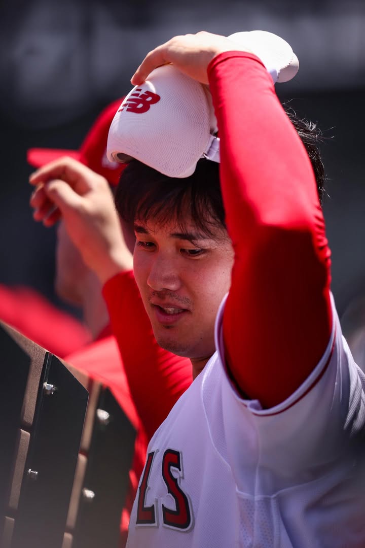 No photo description available.