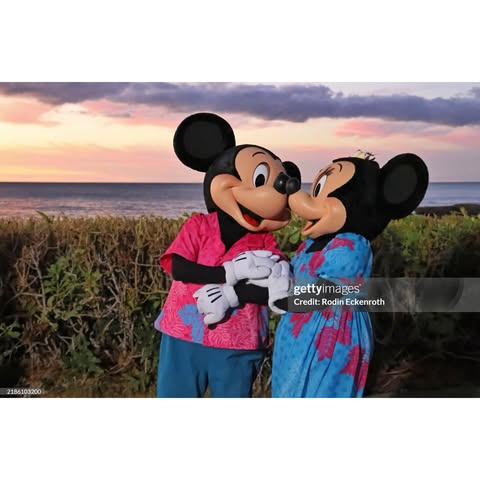 No photo description available.