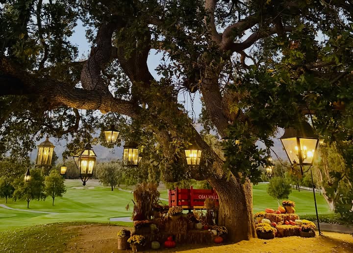 May be an image of golf, golf course and tree