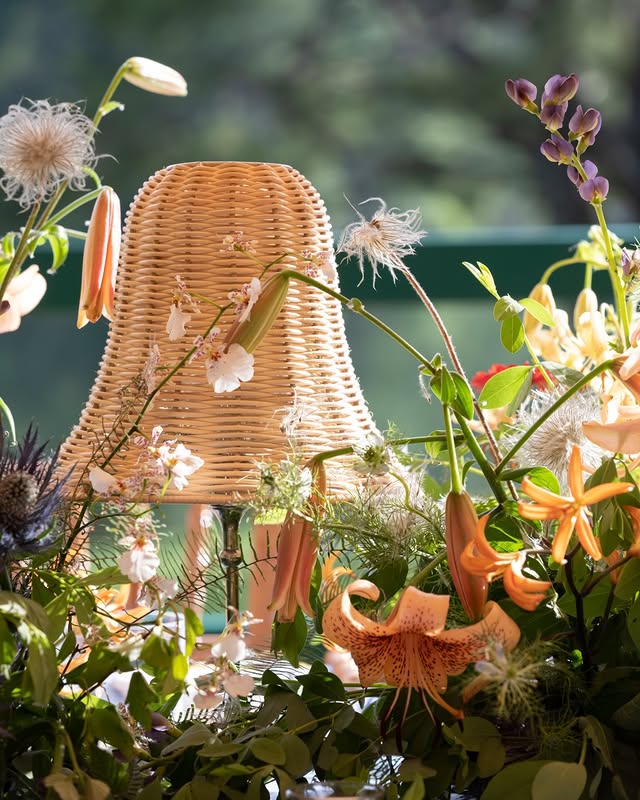 May be an image of flower arrangement, lily of the Nile, lily and text