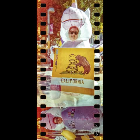 No photo description available.