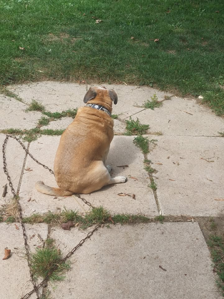 No photo description available.