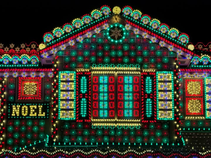 May be an image of lighting, christmas tree, tinsel, lightbulb and text