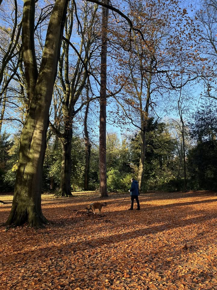 May be an image of park and text