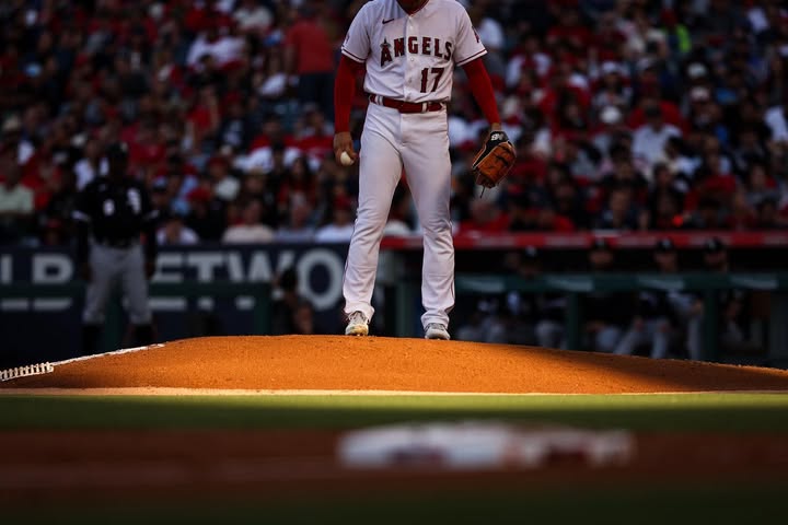 No photo description available.