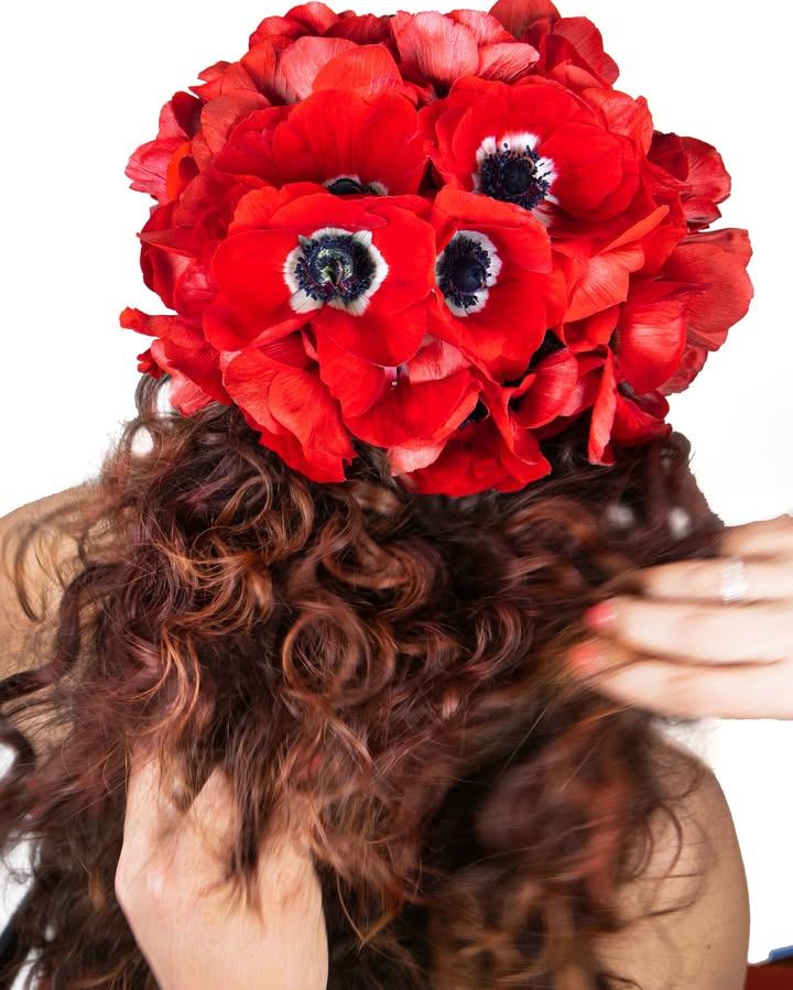 No photo description available.